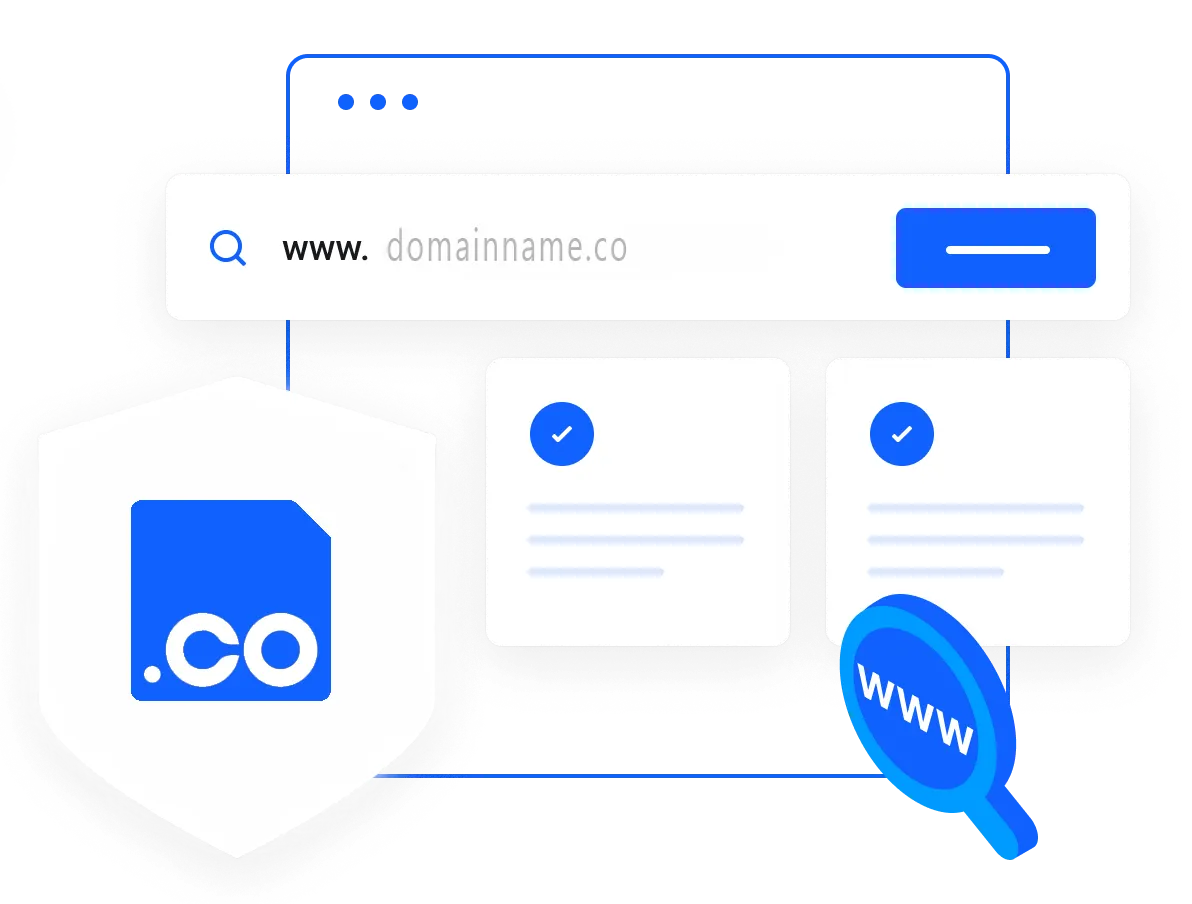 Why Choose a .CO Domain?