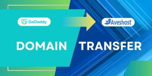 How to Transfer Your Domain from GoDaddy to Aveshost