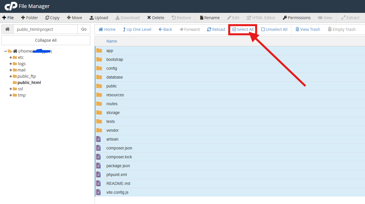 How to Upload Your Website (in 3 Simple Steps) 2 upload your website files select all
