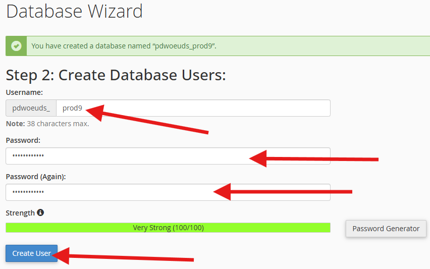 How to Set Up a MySQL Database & User in cPanel (2 Easy Methods) 3 Database User